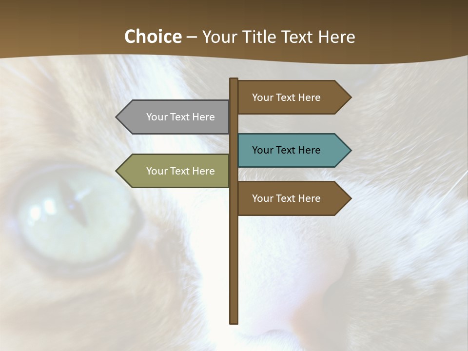 Meow PowerPoint Template