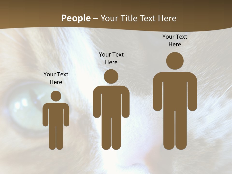 Meow PowerPoint Template