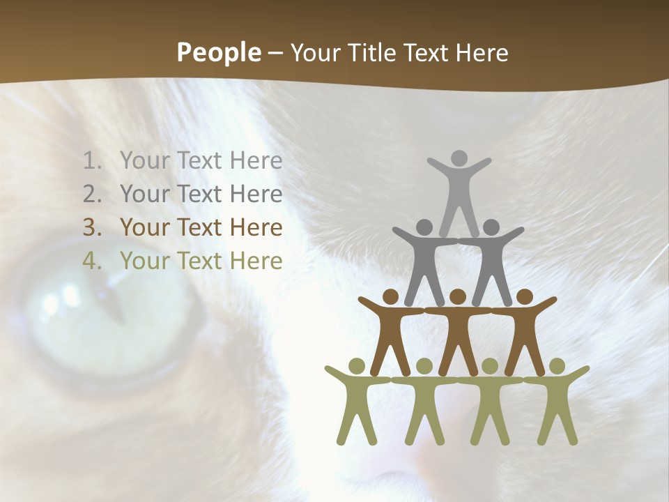 Meow PowerPoint Template