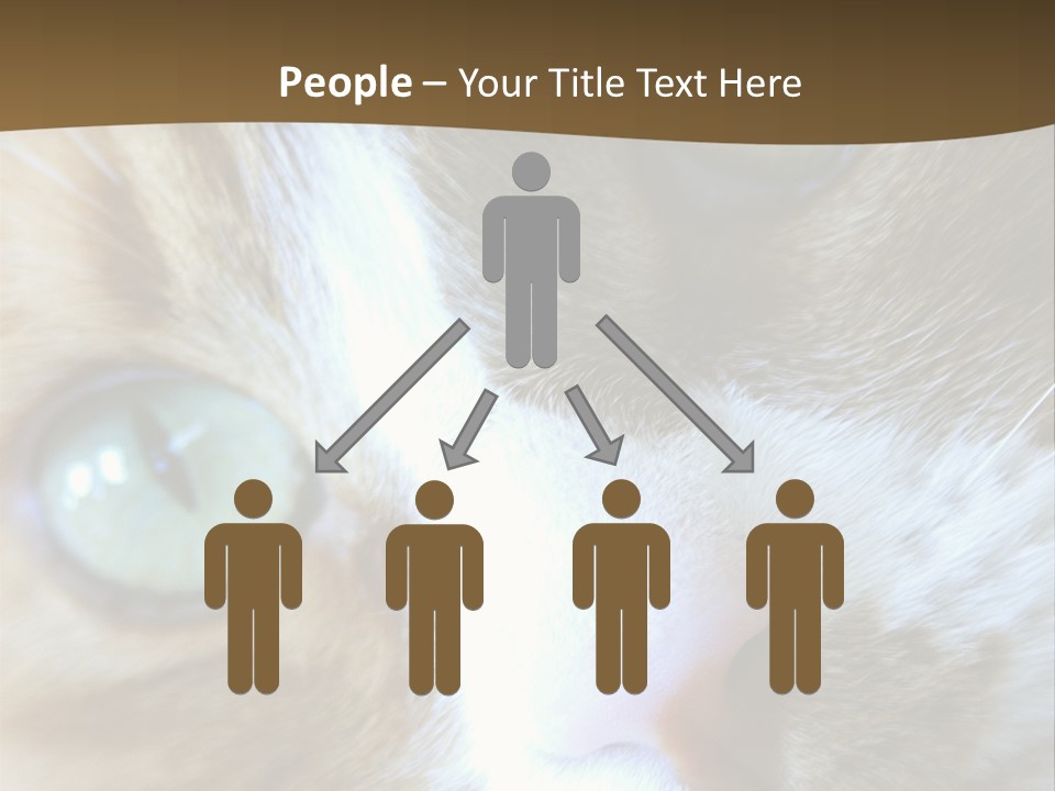 Meow PowerPoint Template