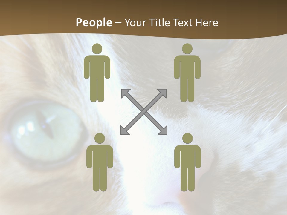 Meow PowerPoint Template