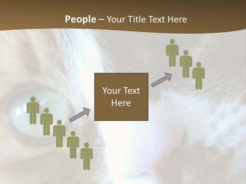 Meow PowerPoint Template