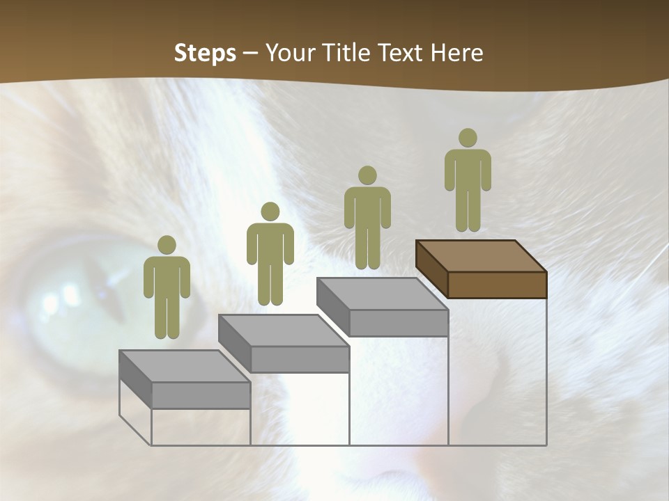 Meow PowerPoint Template