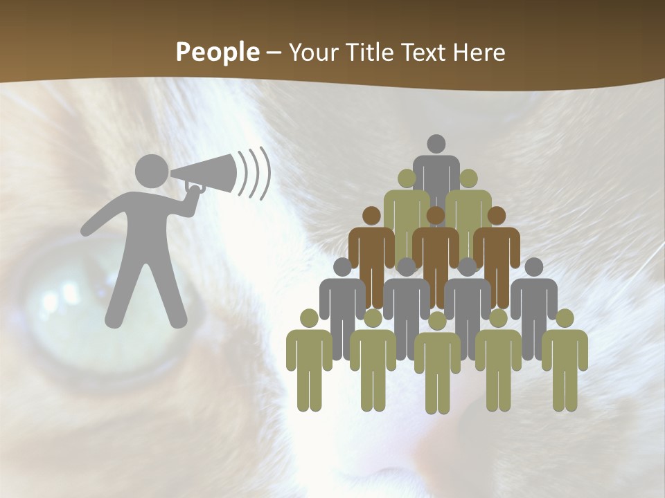 Meow PowerPoint Template