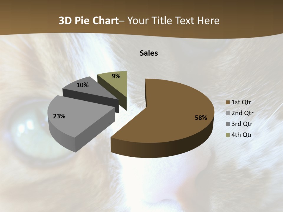 Meow PowerPoint Template