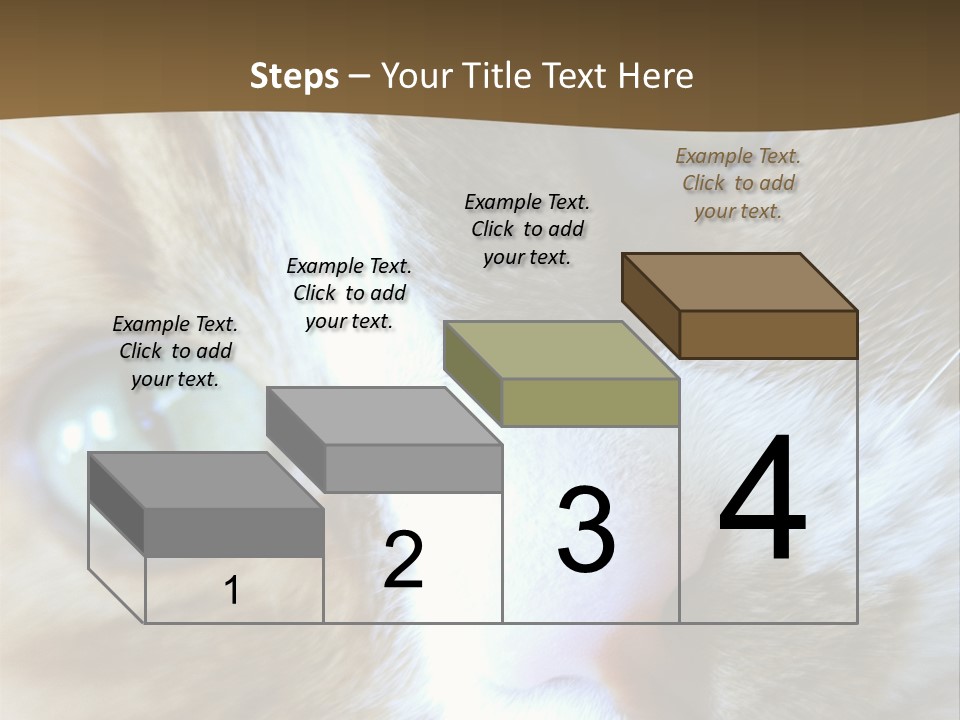 Meow PowerPoint Template