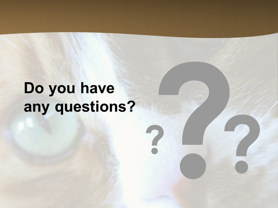 Meow PowerPoint Template