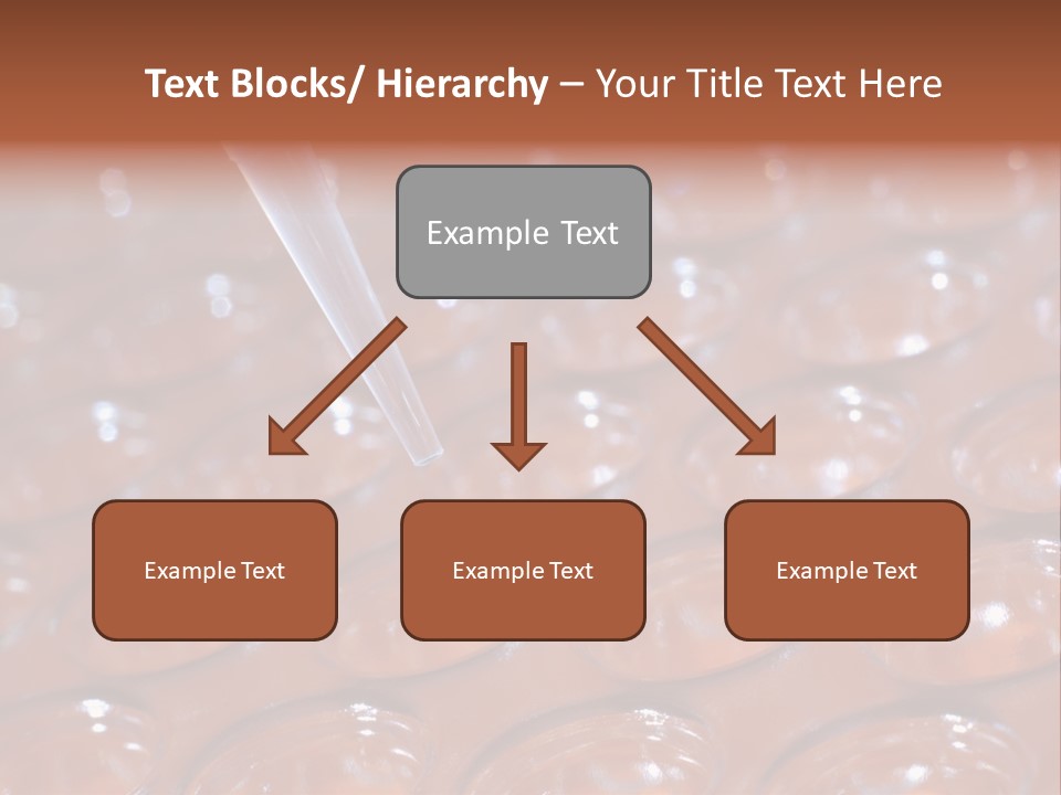 Biotechnology PowerPoint Template