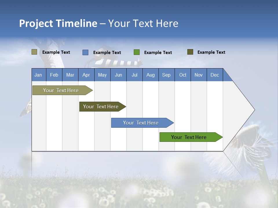 Couple Having Fun In A Meadow Full Of Dandelions PowerPoint Template