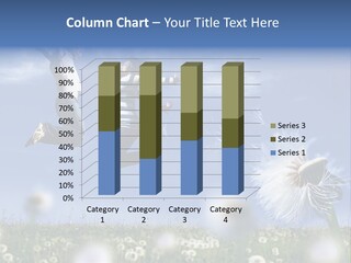 Couple Having Fun In A Meadow Full Of Dandelions PowerPoint Template