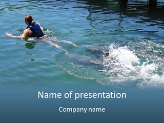 Dolphin Ride PowerPoint Template