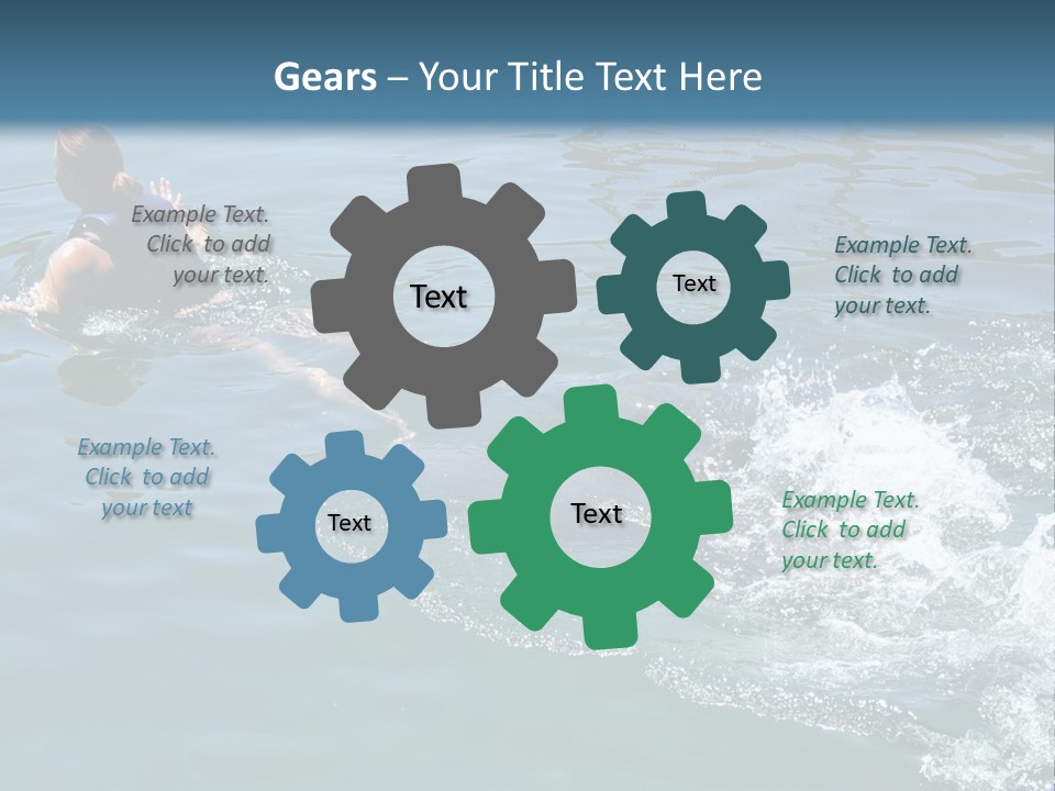 Dolphin Ride PowerPoint Template