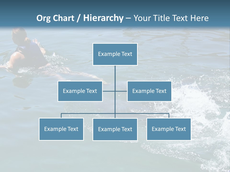 Dolphin Ride PowerPoint Template