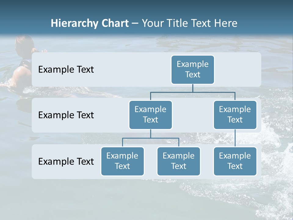 Dolphin Ride PowerPoint Template