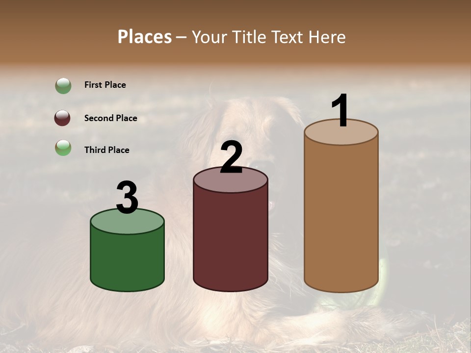 Golden With Frisbee PowerPoint Template