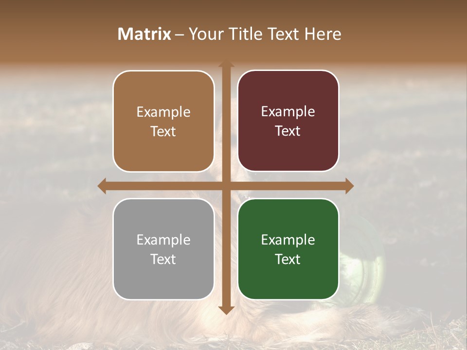 Golden With Frisbee PowerPoint Template