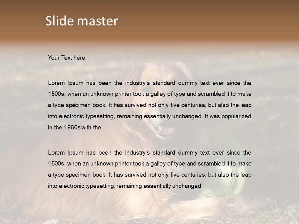 Golden With Frisbee PowerPoint Template