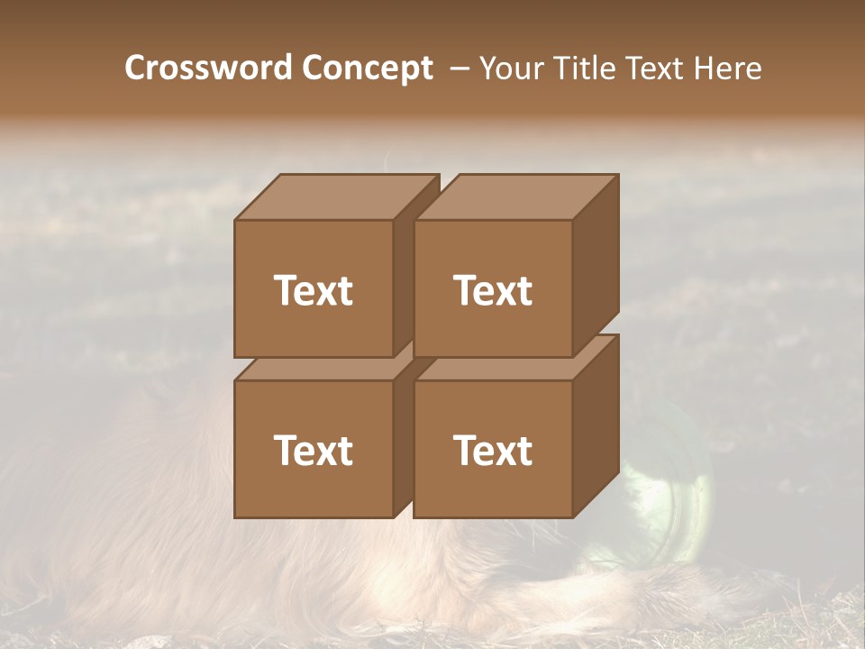 Golden With Frisbee PowerPoint Template