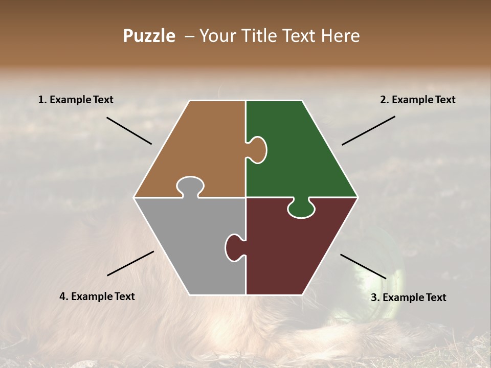 Golden With Frisbee PowerPoint Template