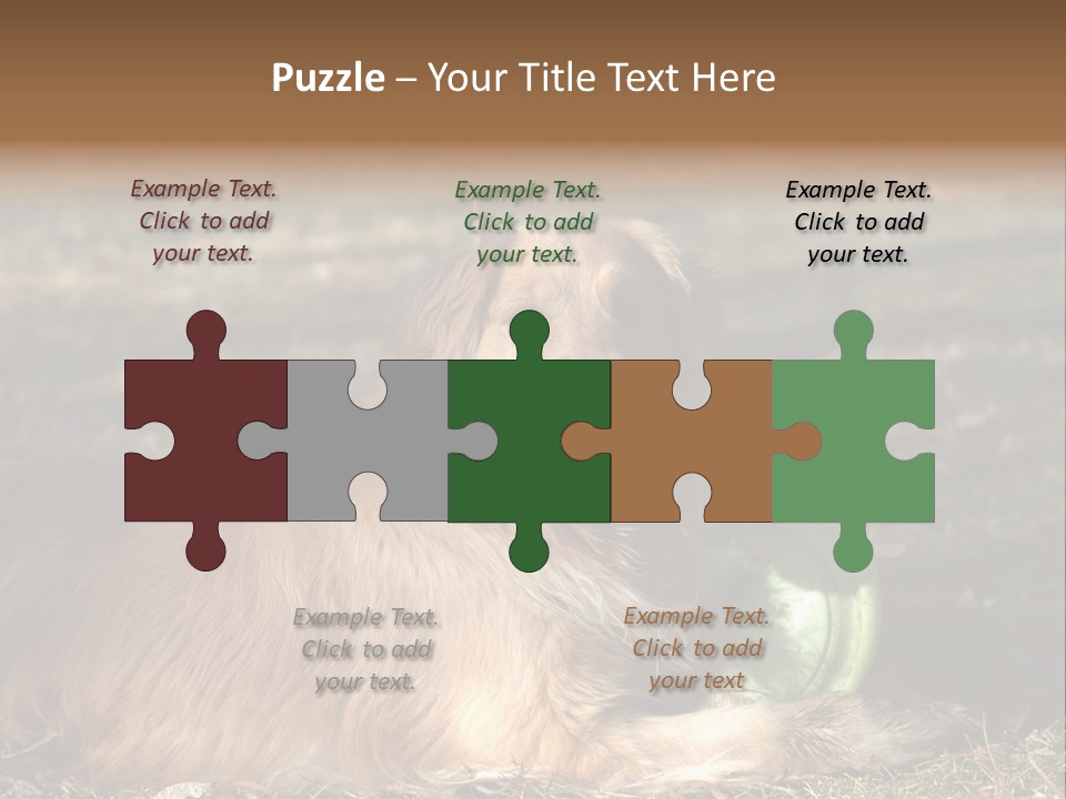 Golden With Frisbee PowerPoint Template