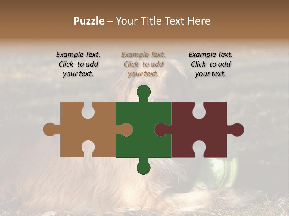 Golden With Frisbee PowerPoint Template