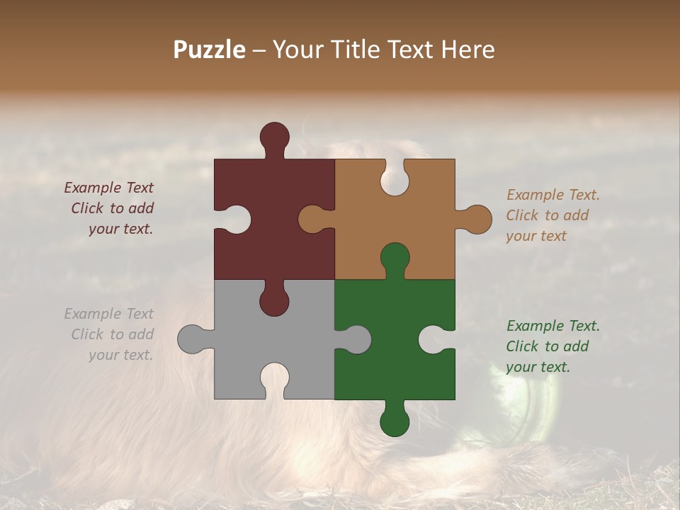 Golden With Frisbee PowerPoint Template