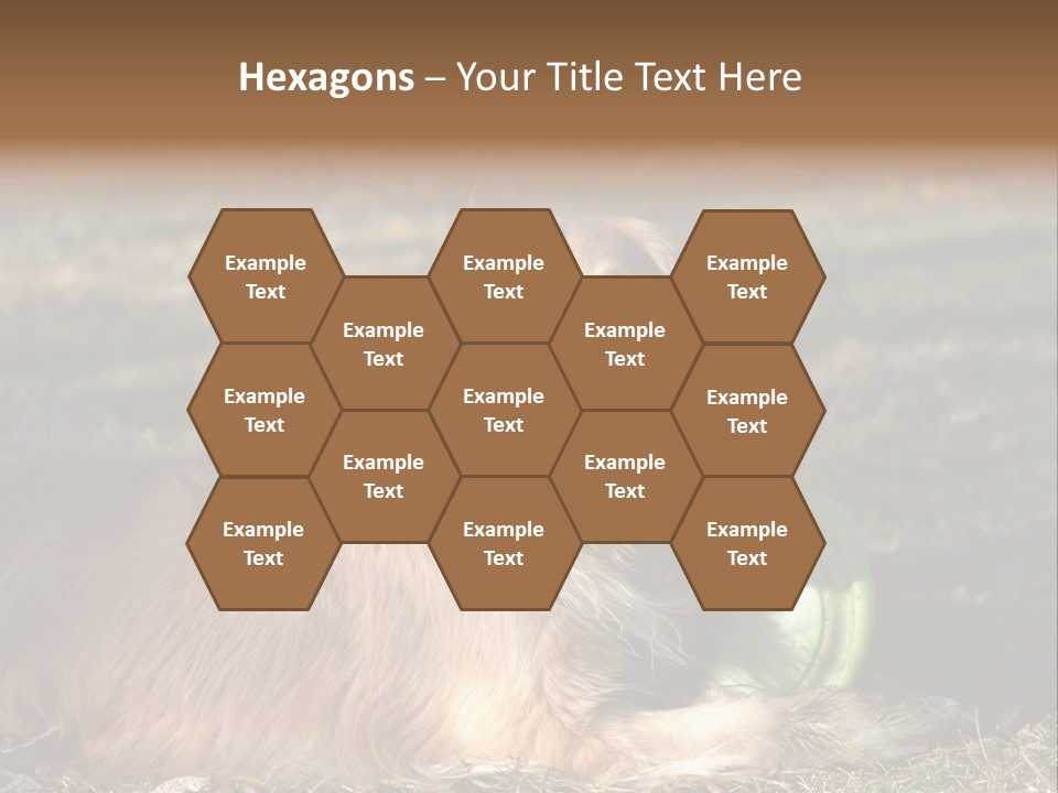 Golden With Frisbee PowerPoint Template