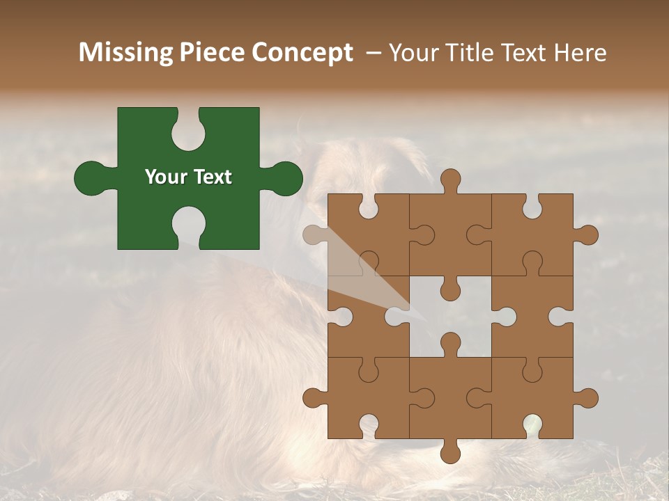 Golden With Frisbee PowerPoint Template