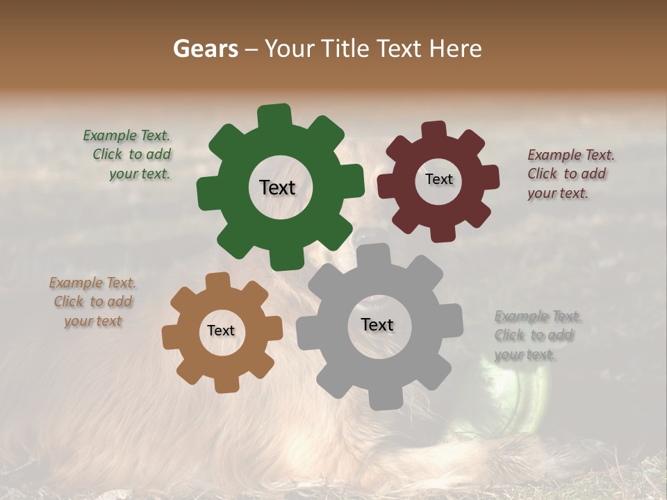 Golden With Frisbee PowerPoint Template