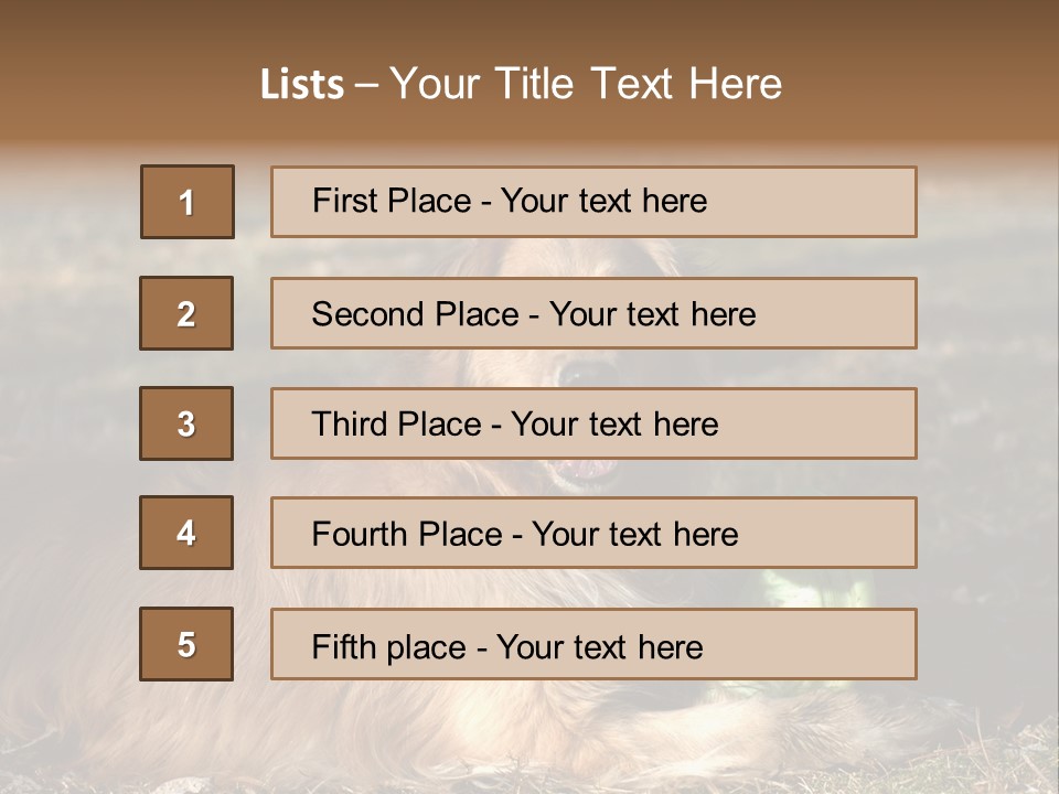 Golden With Frisbee PowerPoint Template