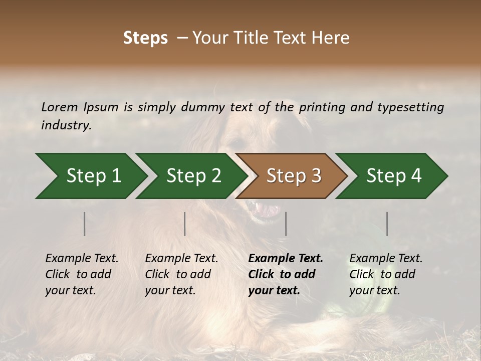 Golden With Frisbee PowerPoint Template