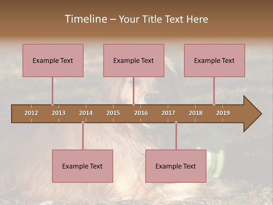 Golden With Frisbee PowerPoint Template