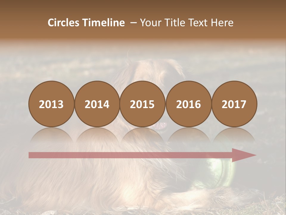 Golden With Frisbee PowerPoint Template