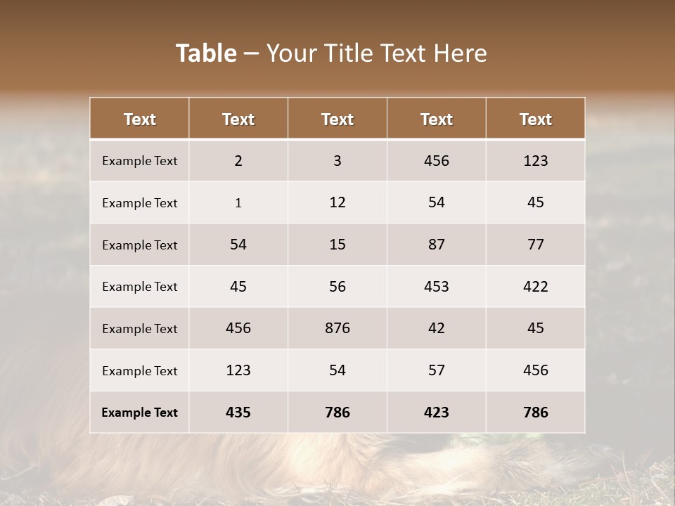 Golden With Frisbee PowerPoint Template