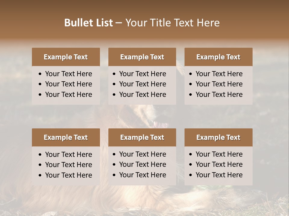 Golden With Frisbee PowerPoint Template