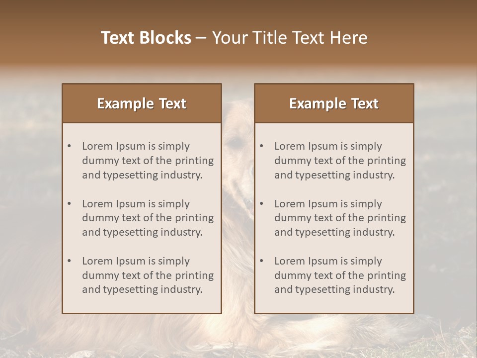 Golden With Frisbee PowerPoint Template