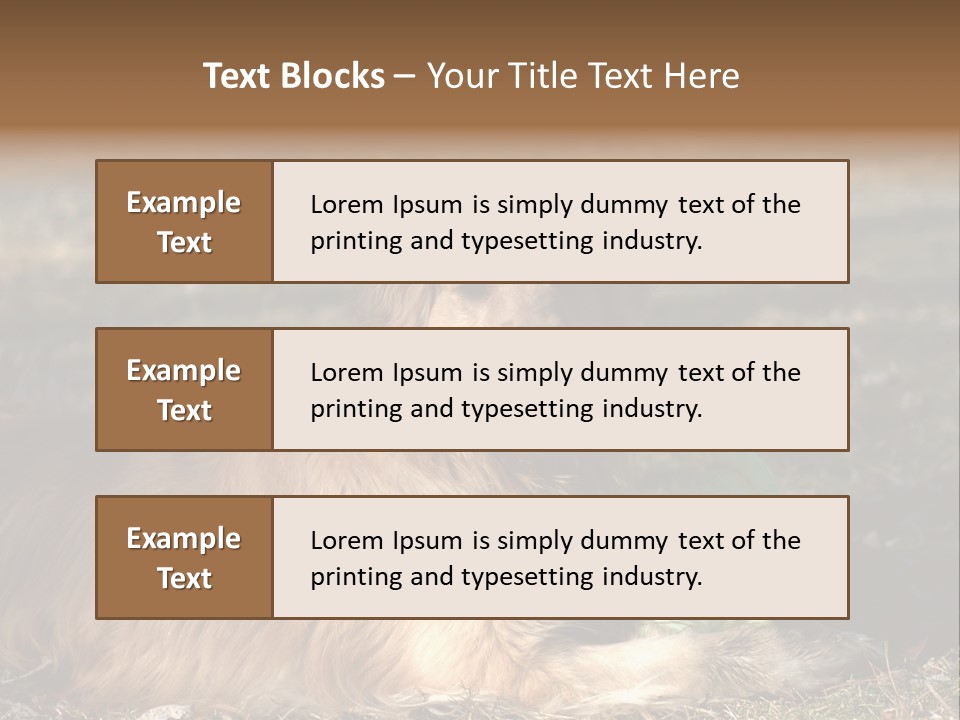 Golden With Frisbee PowerPoint Template