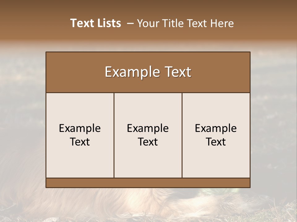 Golden With Frisbee PowerPoint Template