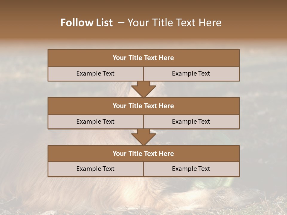 Golden With Frisbee PowerPoint Template