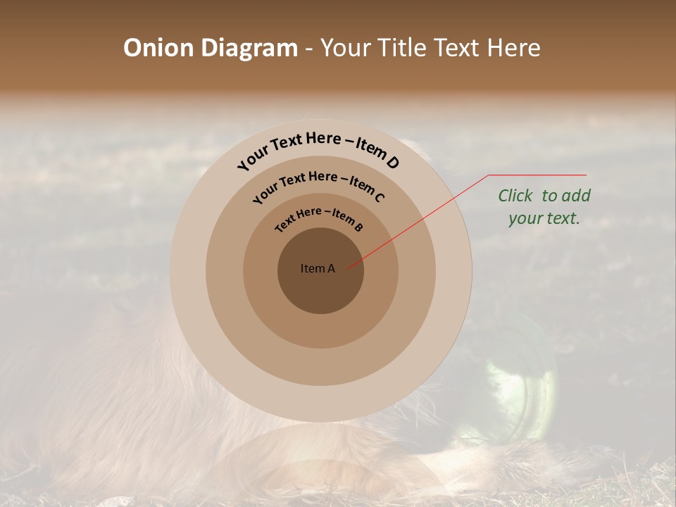 Golden With Frisbee PowerPoint Template