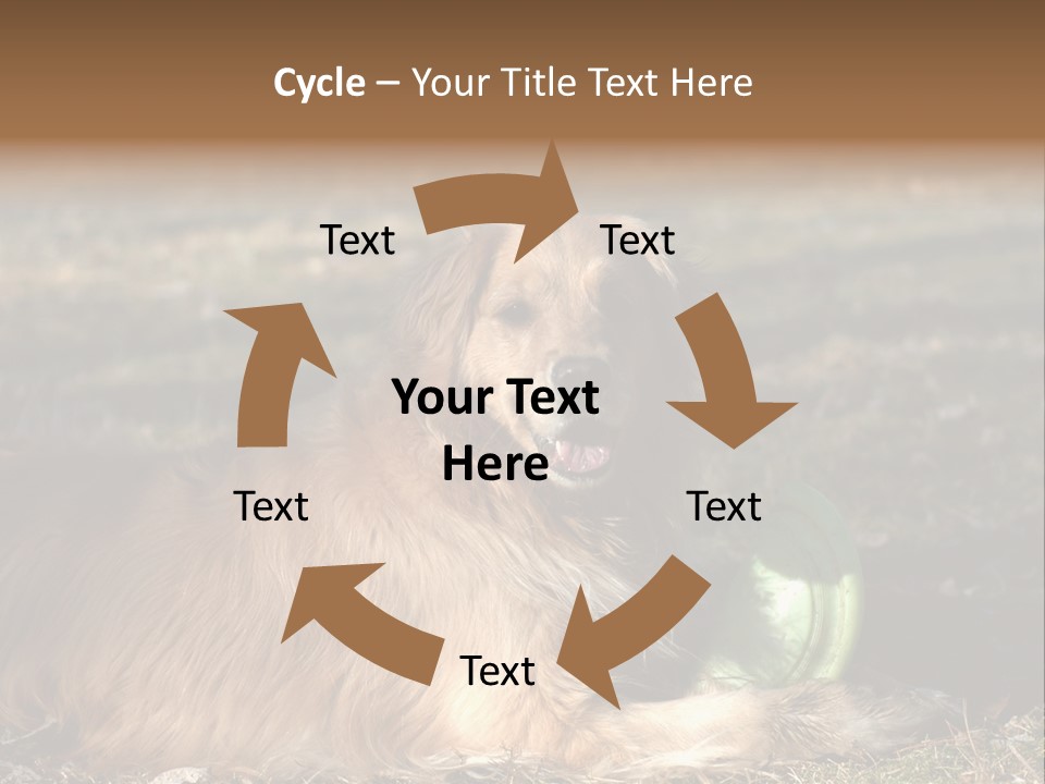 Golden With Frisbee PowerPoint Template