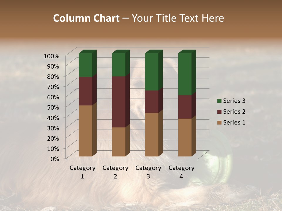 Golden With Frisbee PowerPoint Template