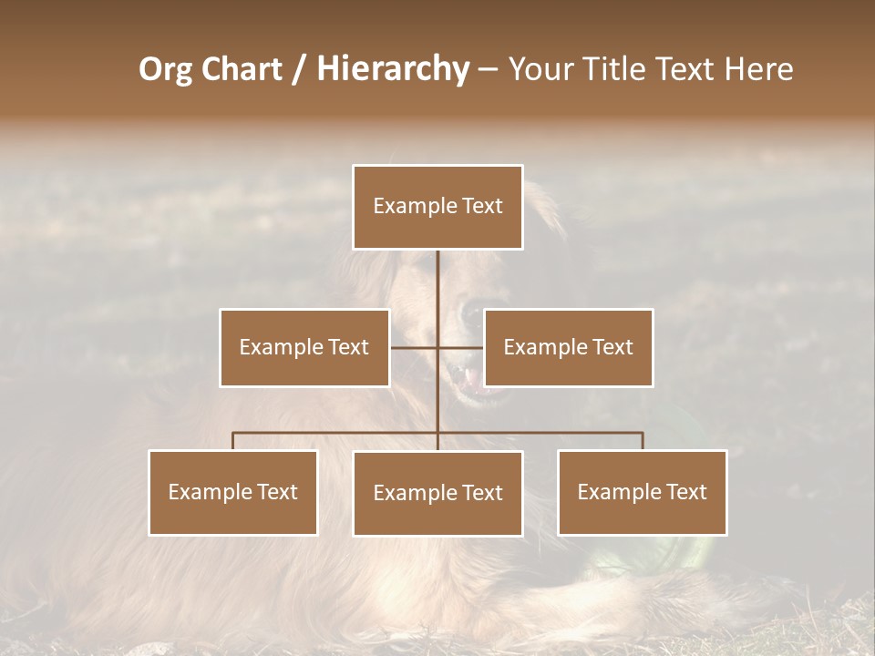 Golden With Frisbee PowerPoint Template