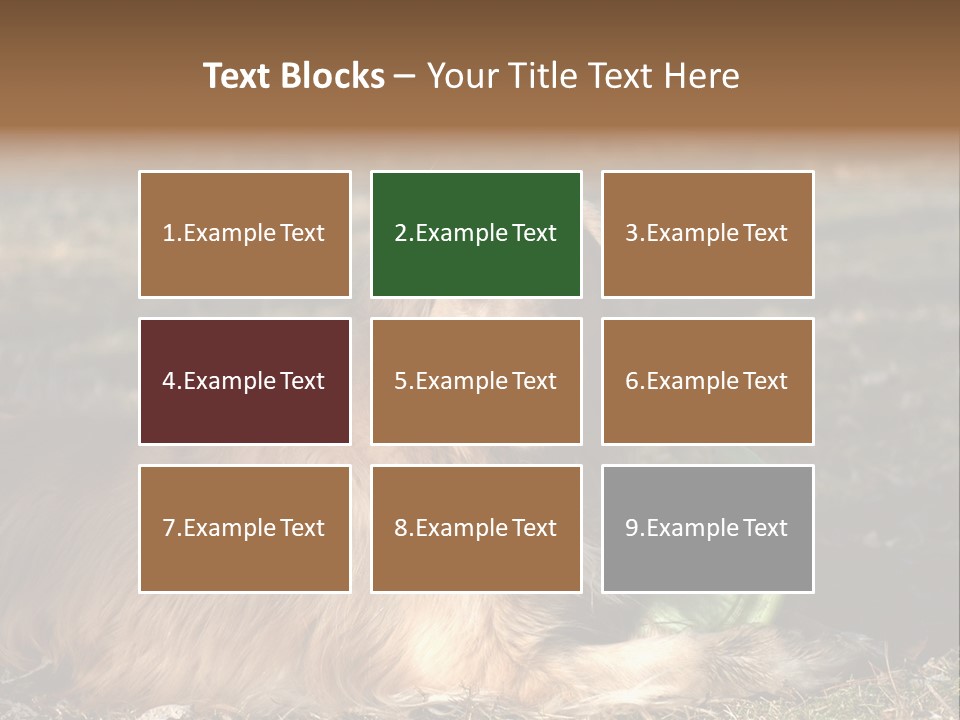 Golden With Frisbee PowerPoint Template