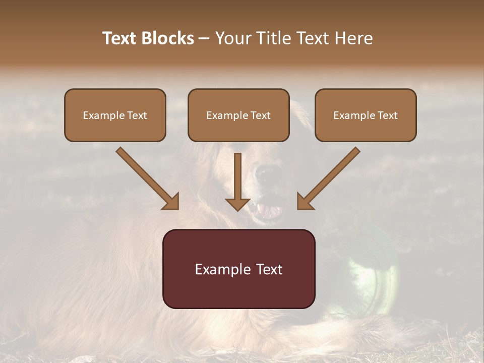 Golden With Frisbee PowerPoint Template