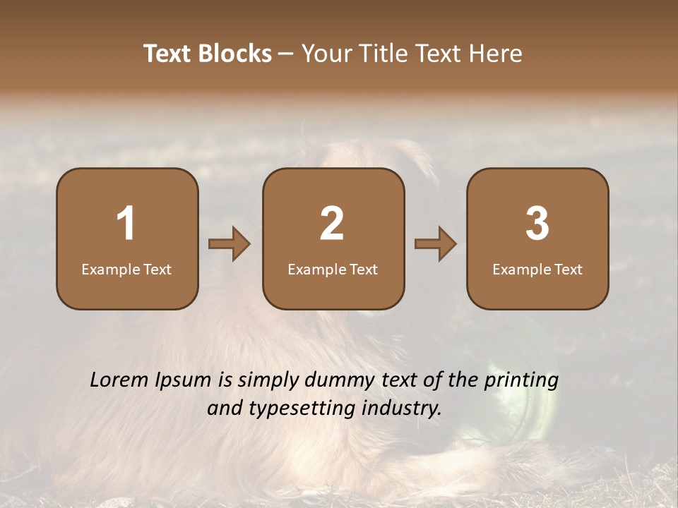 Golden With Frisbee PowerPoint Template