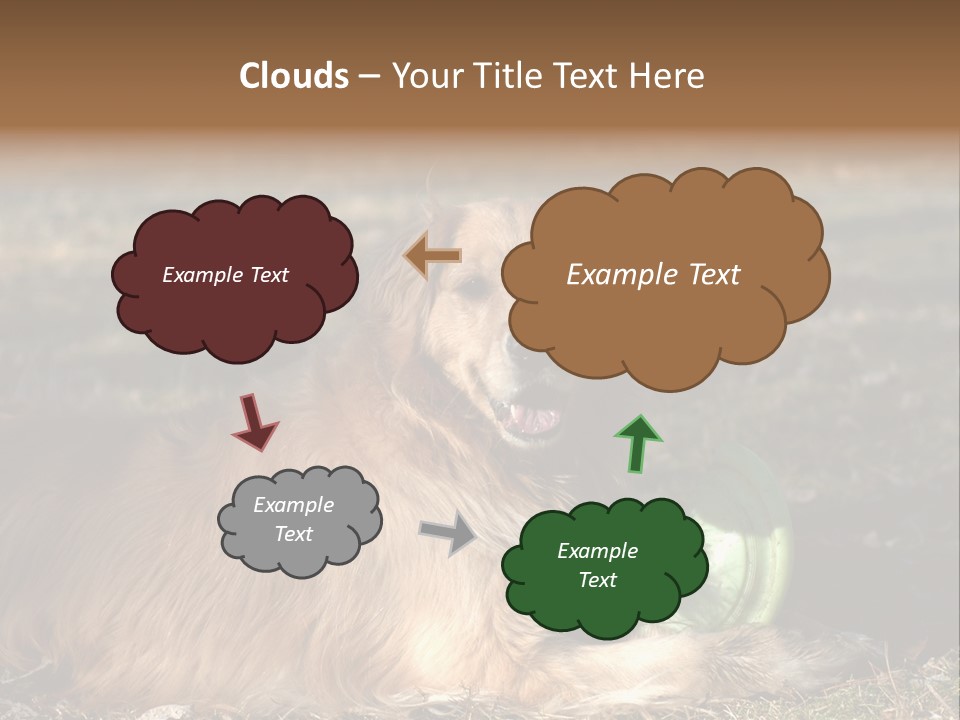 Golden With Frisbee PowerPoint Template