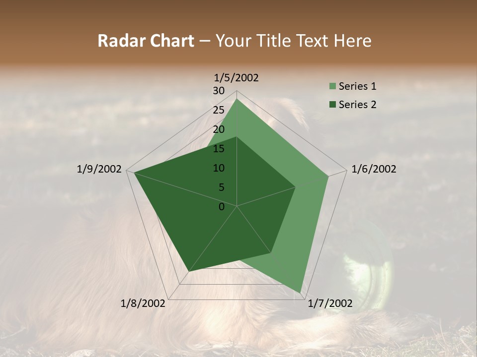 Golden With Frisbee PowerPoint Template