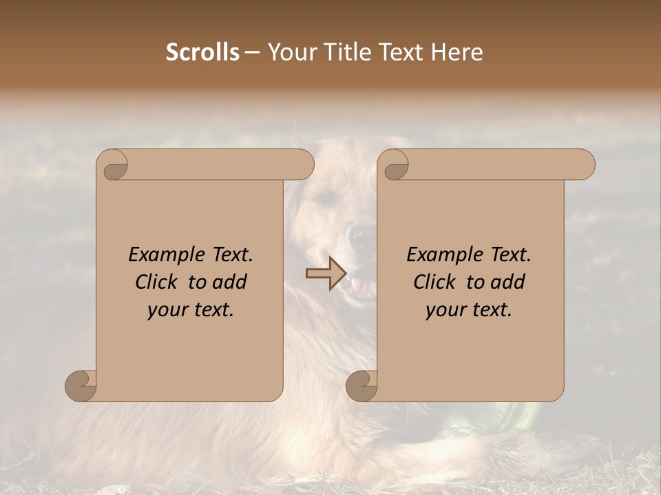 Golden With Frisbee PowerPoint Template