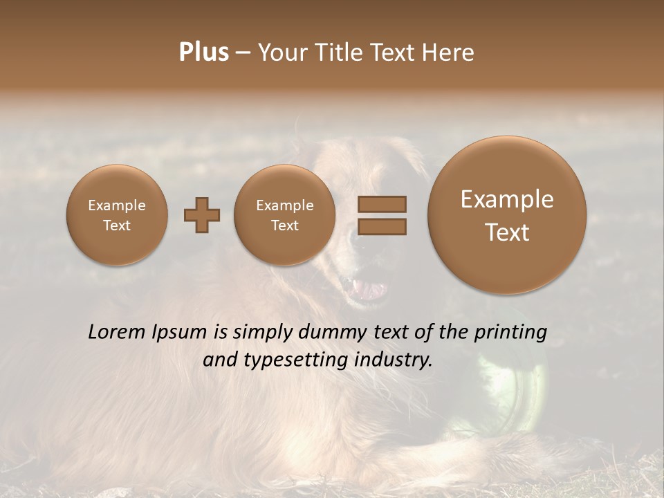 Golden With Frisbee PowerPoint Template